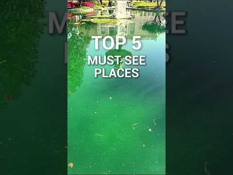 Top 5 Places You Have to See in Istanbul – A Traveler’s Dream!