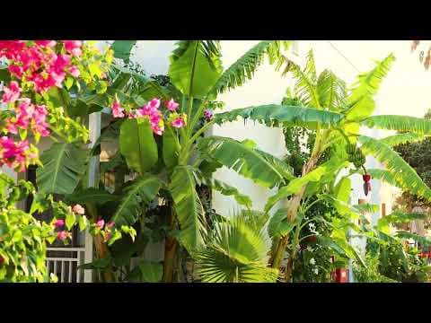 Yalıpark Beach Hotel - Etstur