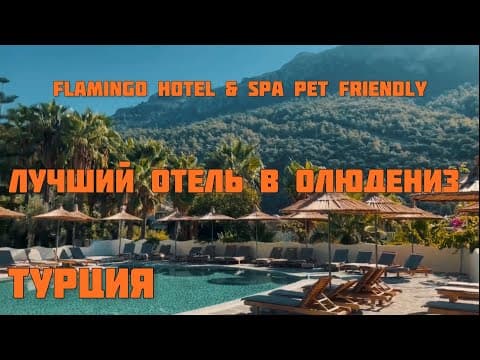 Обзор отеля Flamingo Hotel &amp; SPA Pet Friendly в Олюдениз