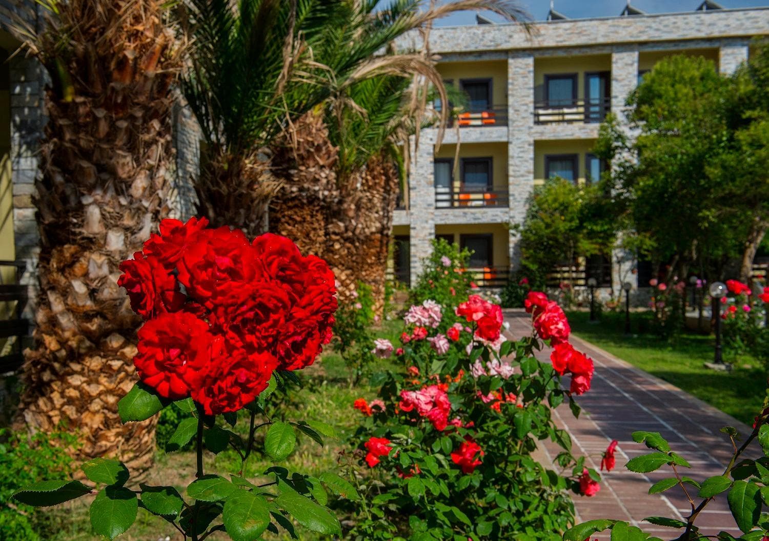 Iris Hotel & Spa