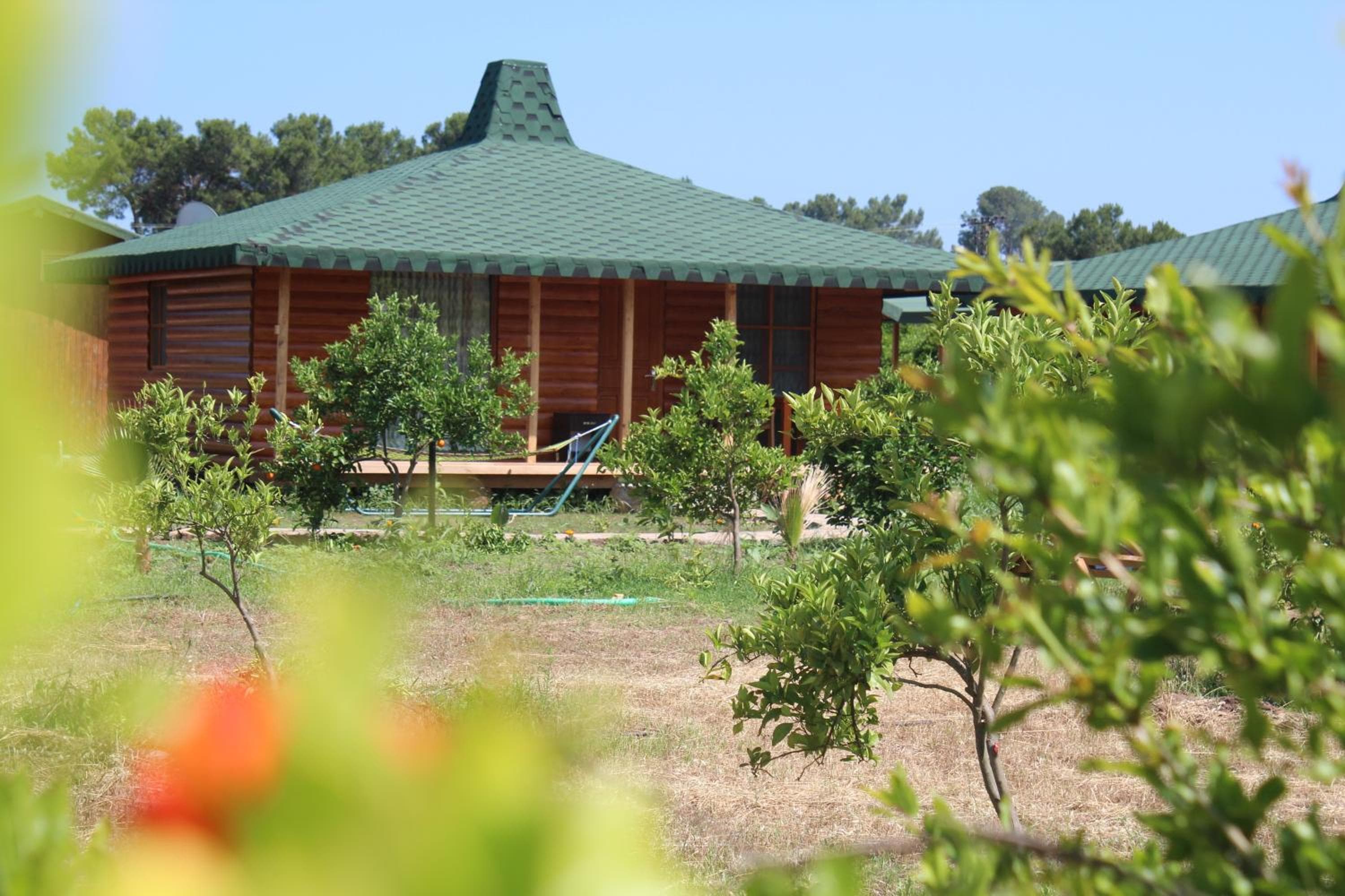 Cirali Armira Bungalow — photo 4