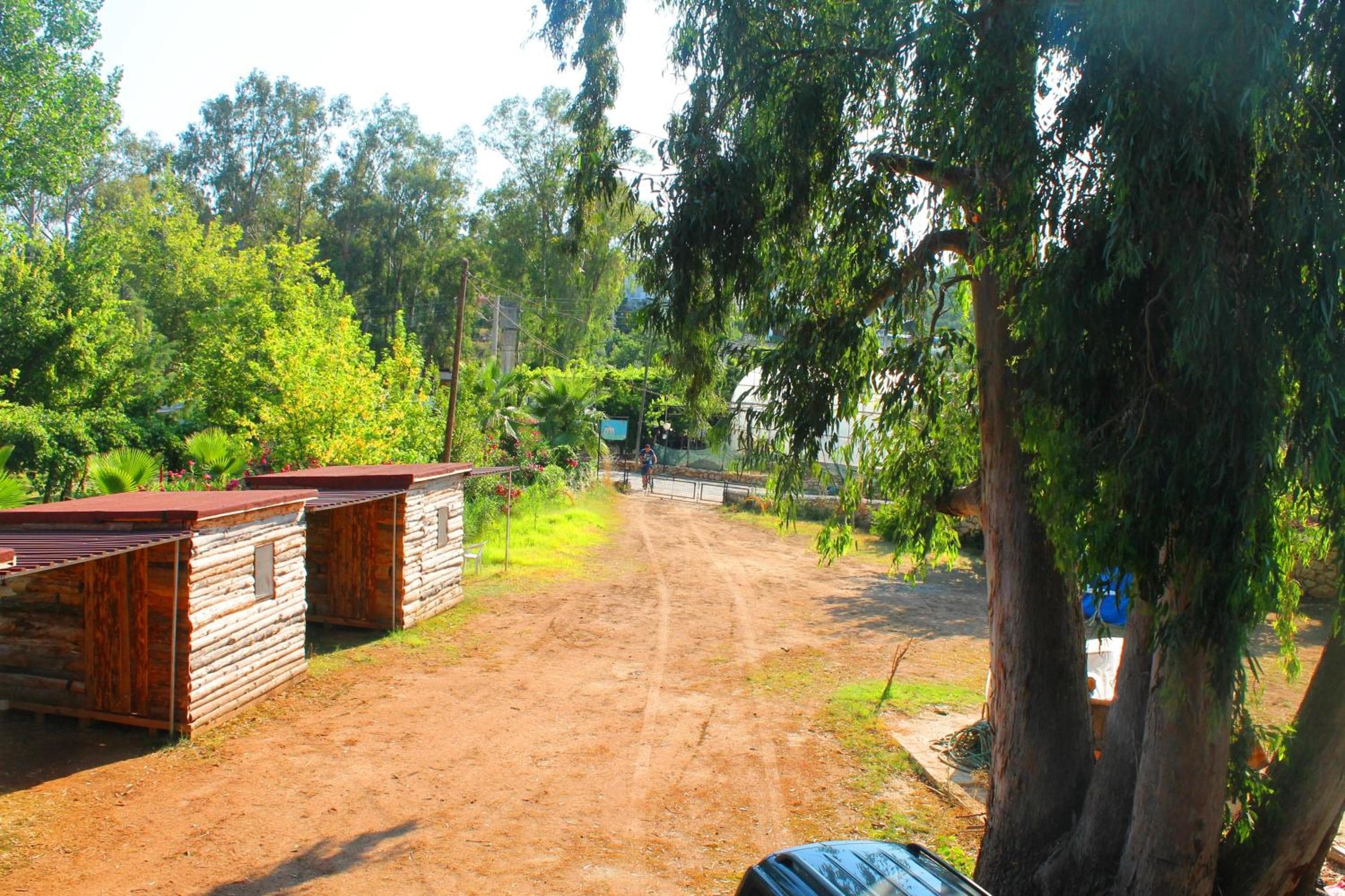 Medusa Camping — photo 2