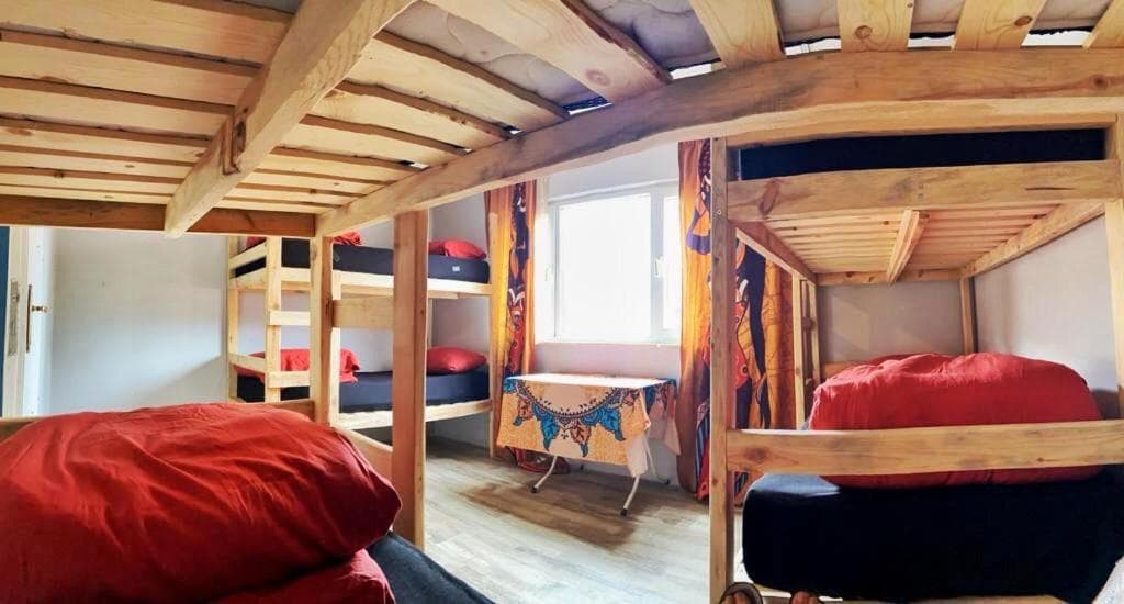 Lola backpacker's Hostel — photo 5