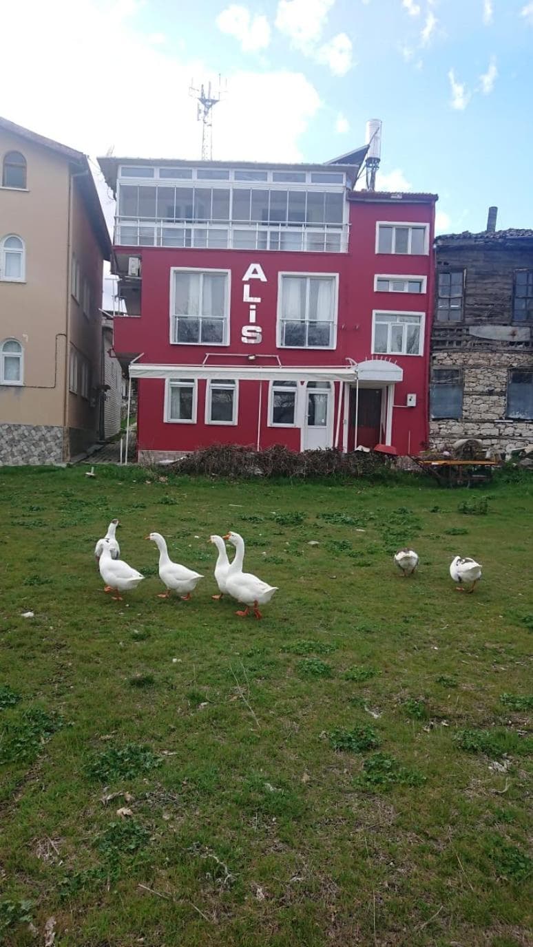 Ali's Pension ada alis