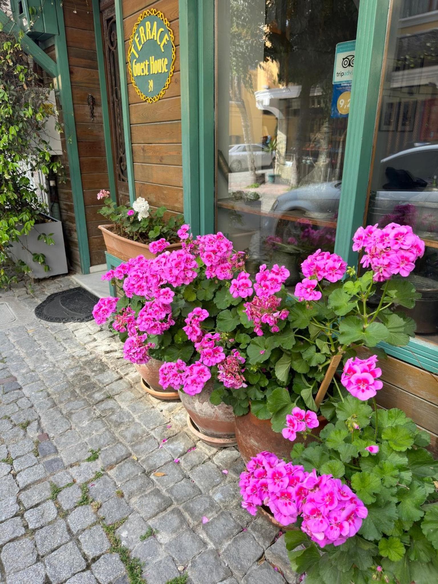 Terrace Guesthouse