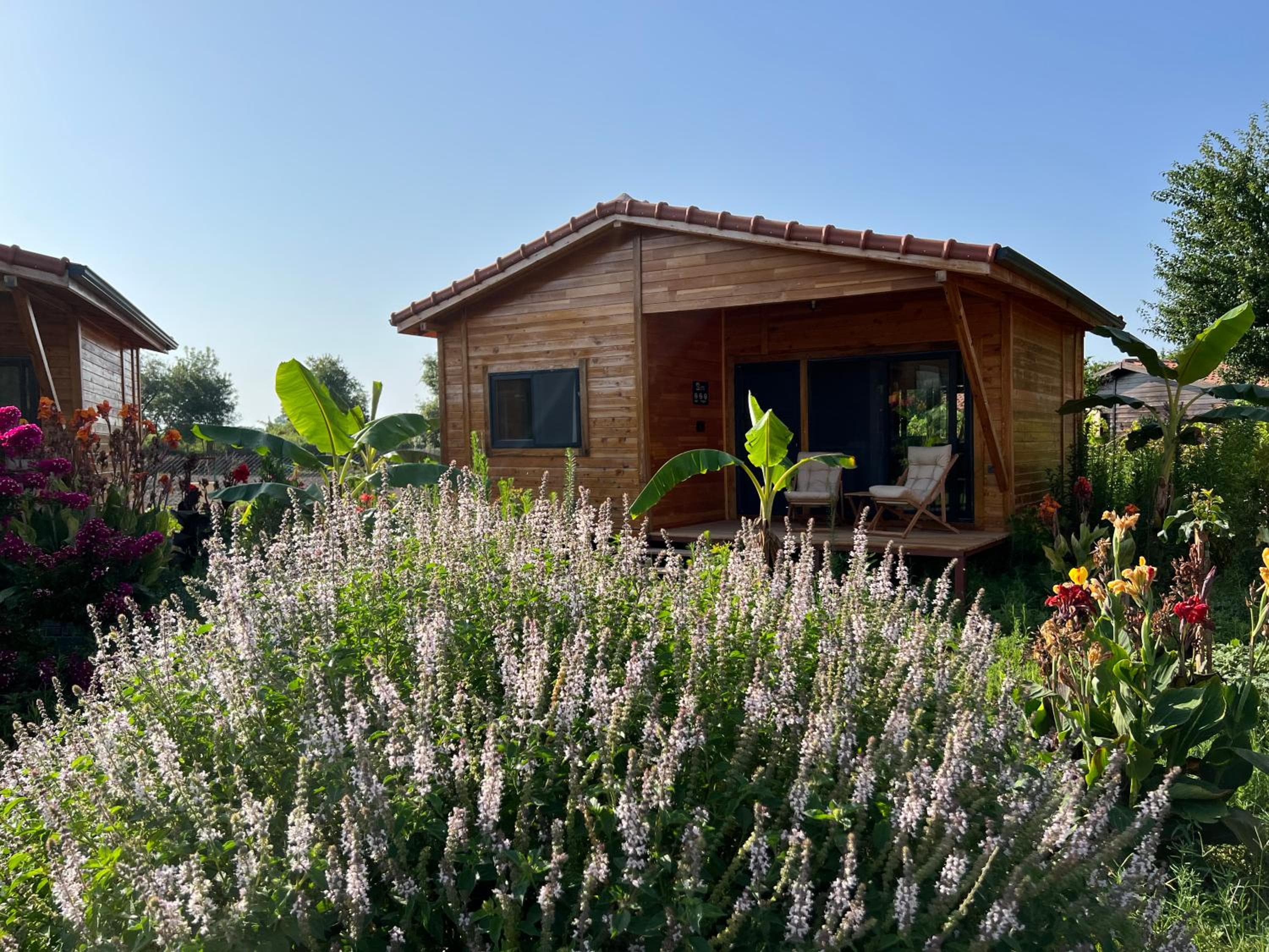 Lemon Garden Lodge — photo 3