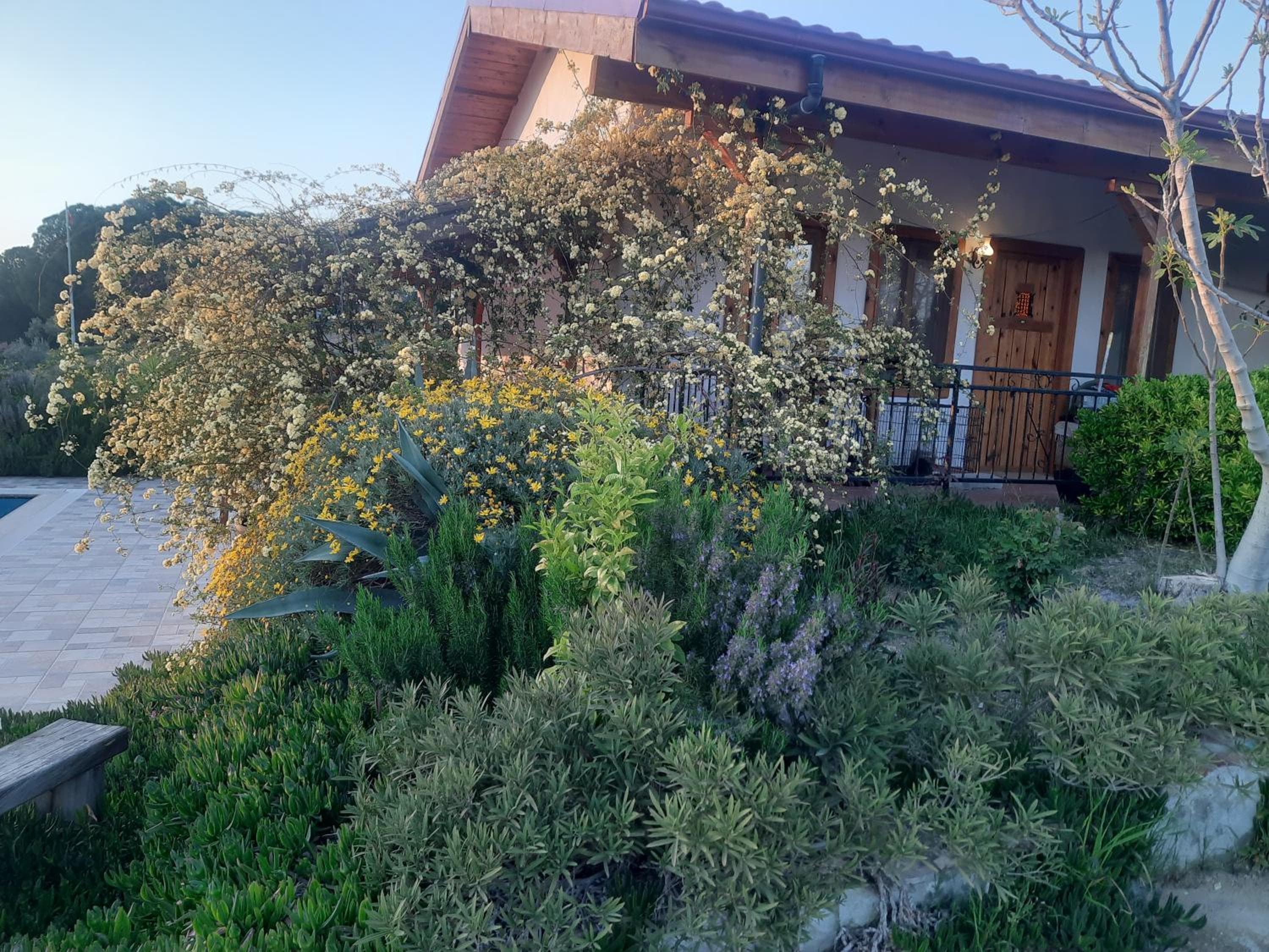Ionia Guest House