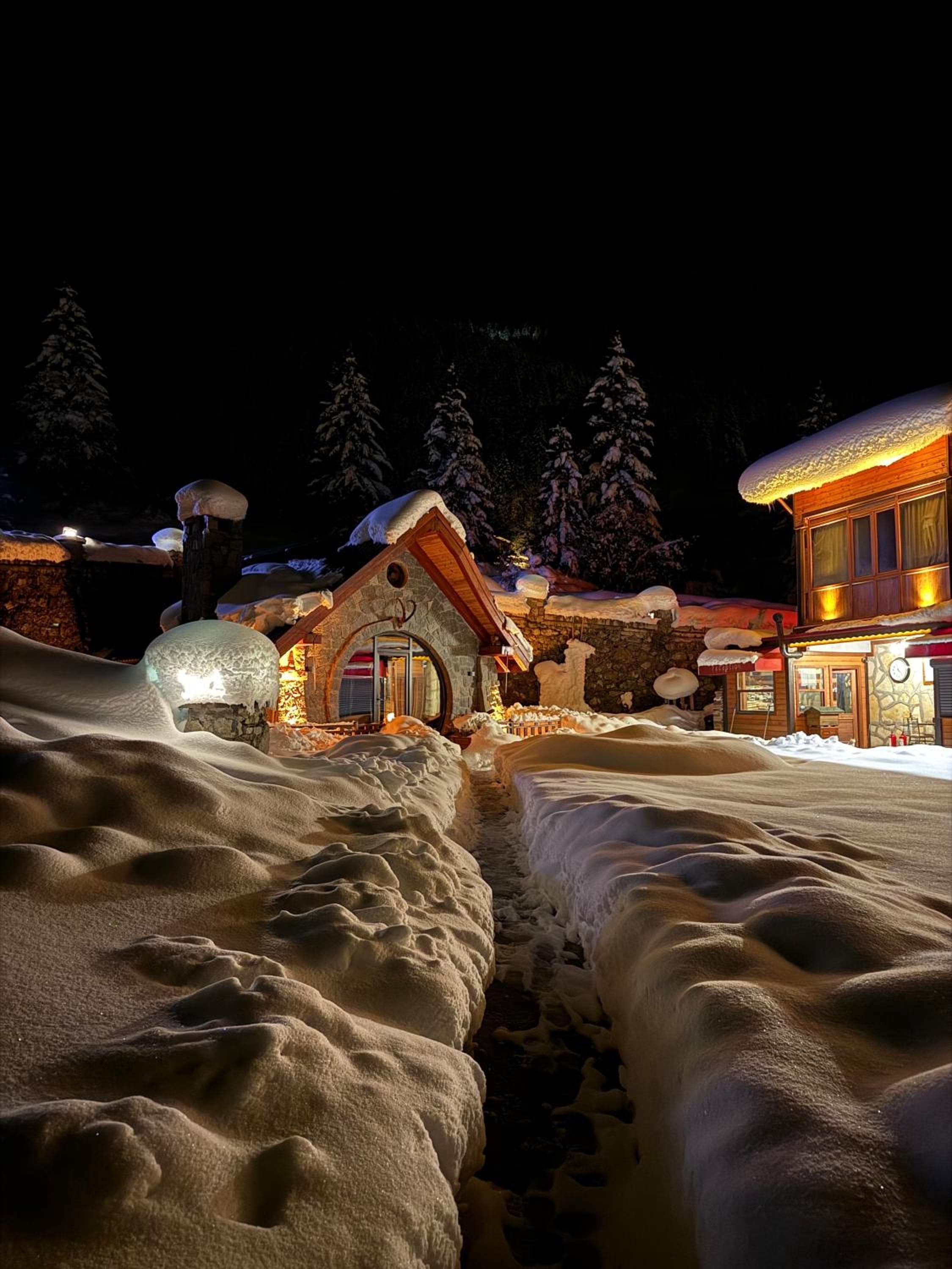 Özen Villa Uzungöl