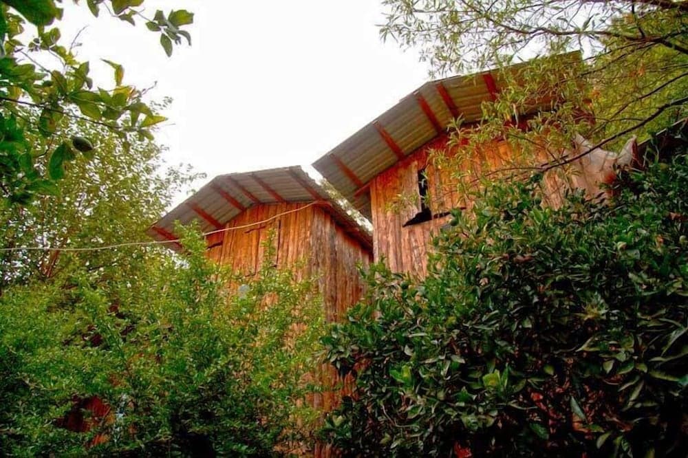Bayrams Tree Houses