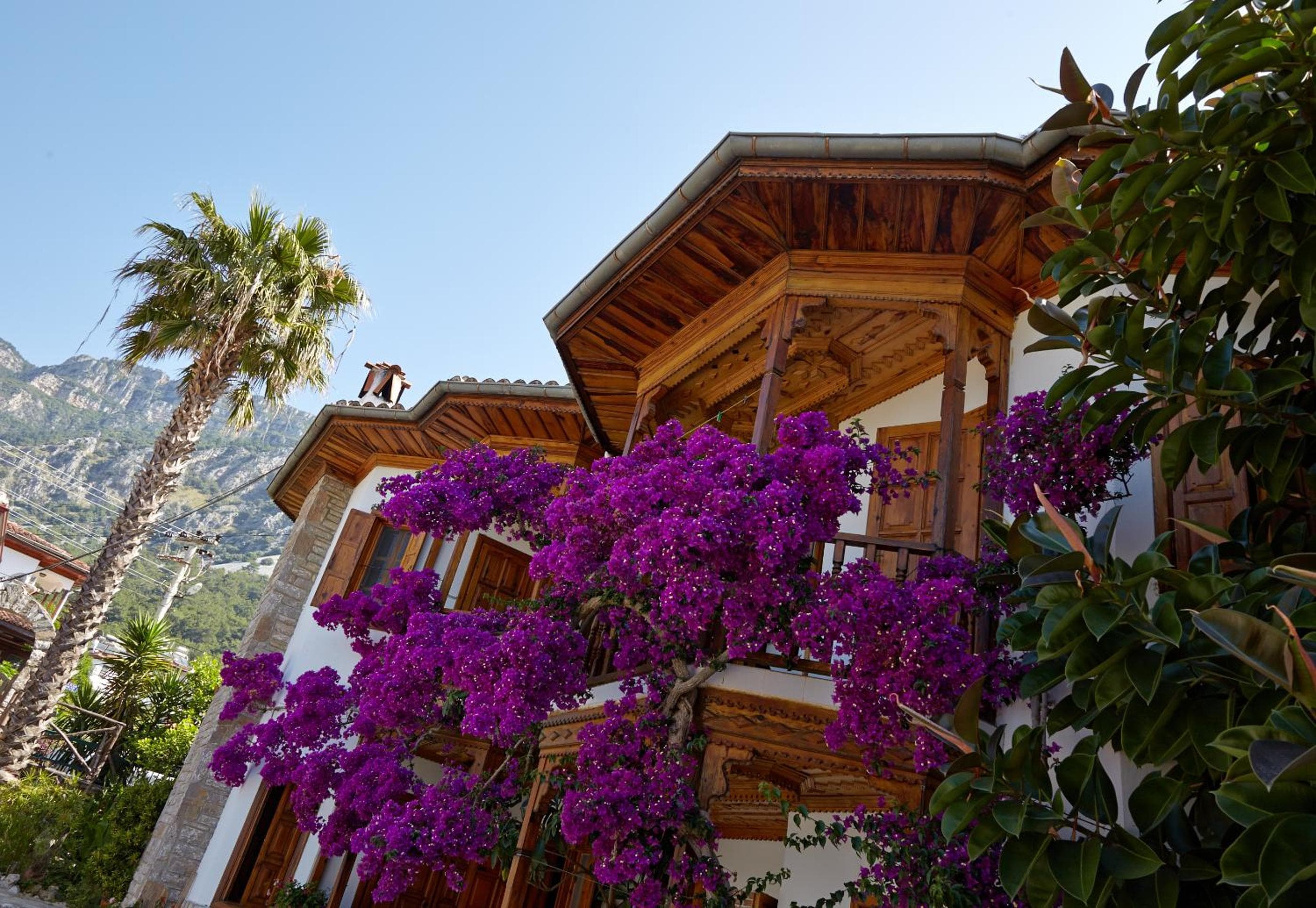 Villa Vali — photo 4