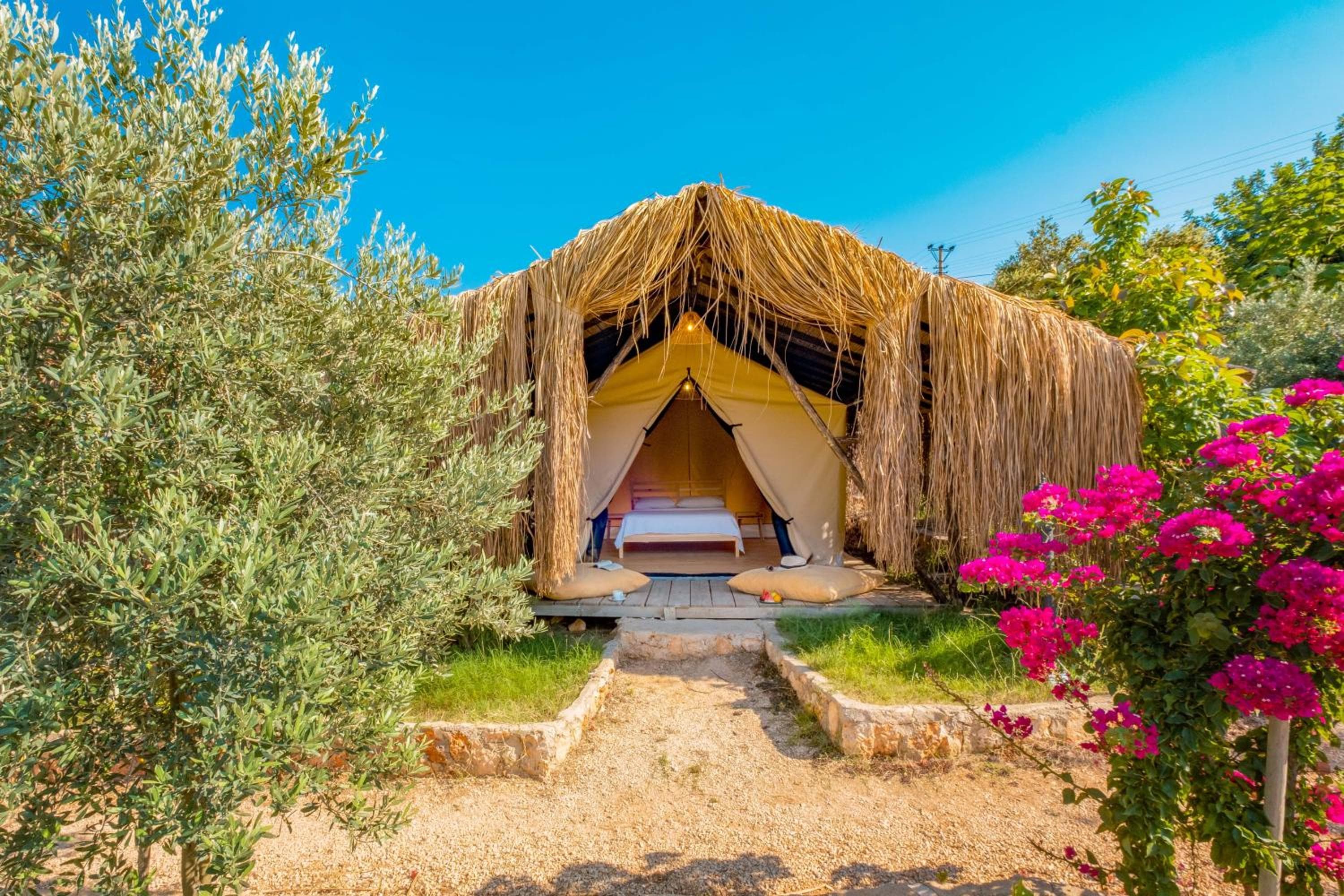 Tent