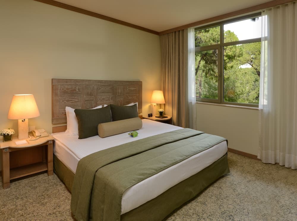 Suite, 1 Bedroom
