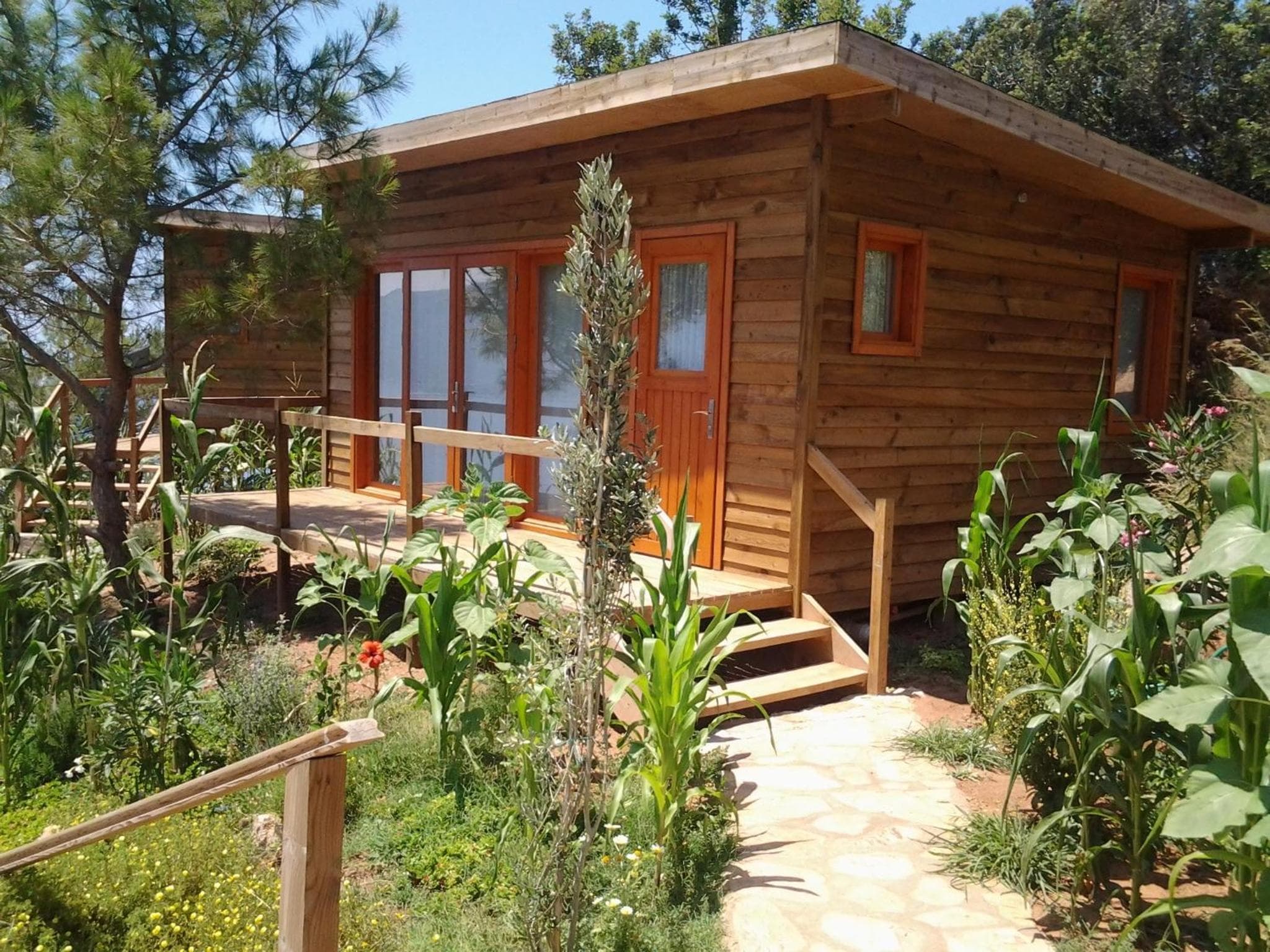 Kabak Avalon Bungalows