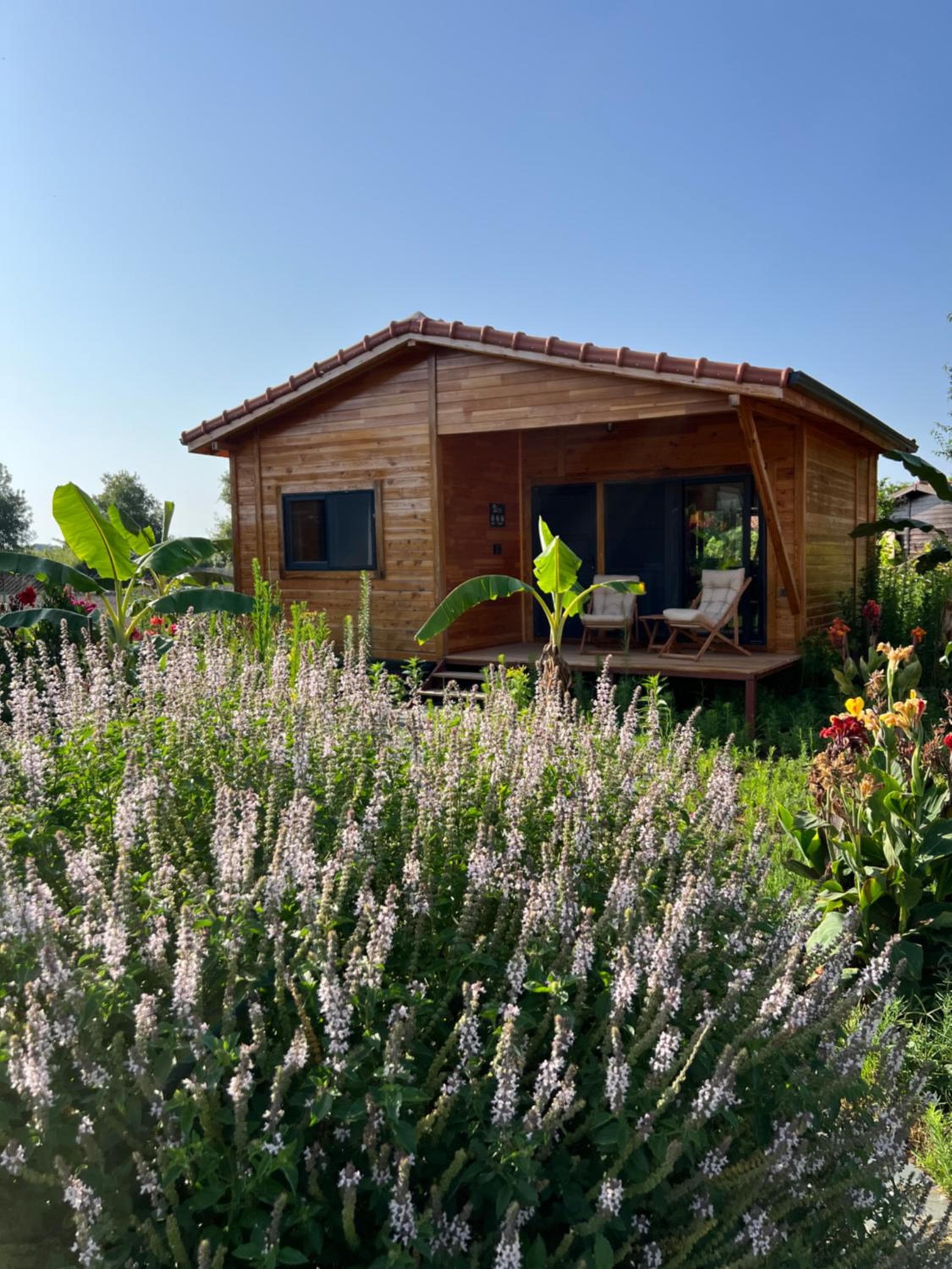 Lemon Garden Lodge
