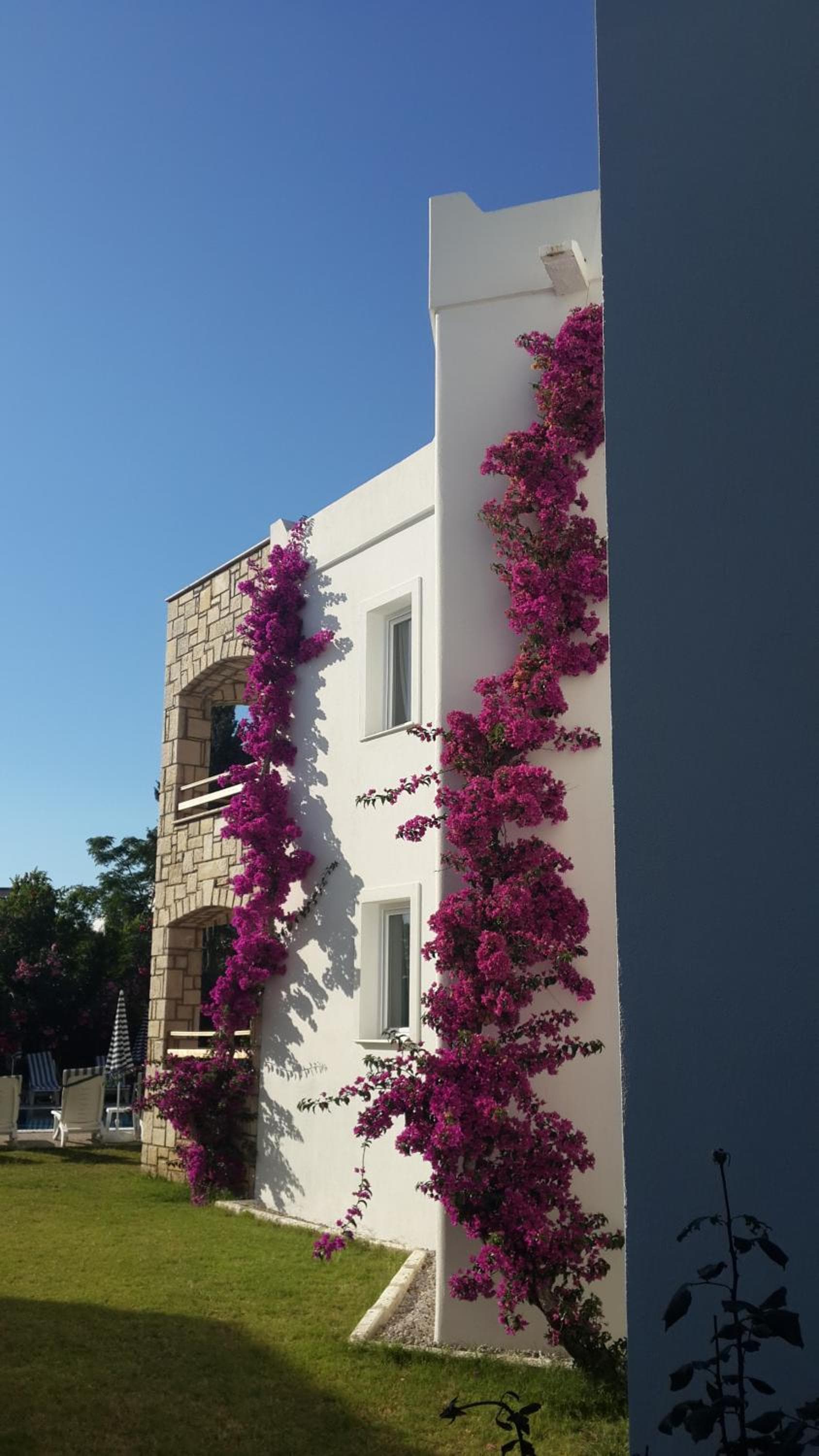Sun Garden Apart Hotel