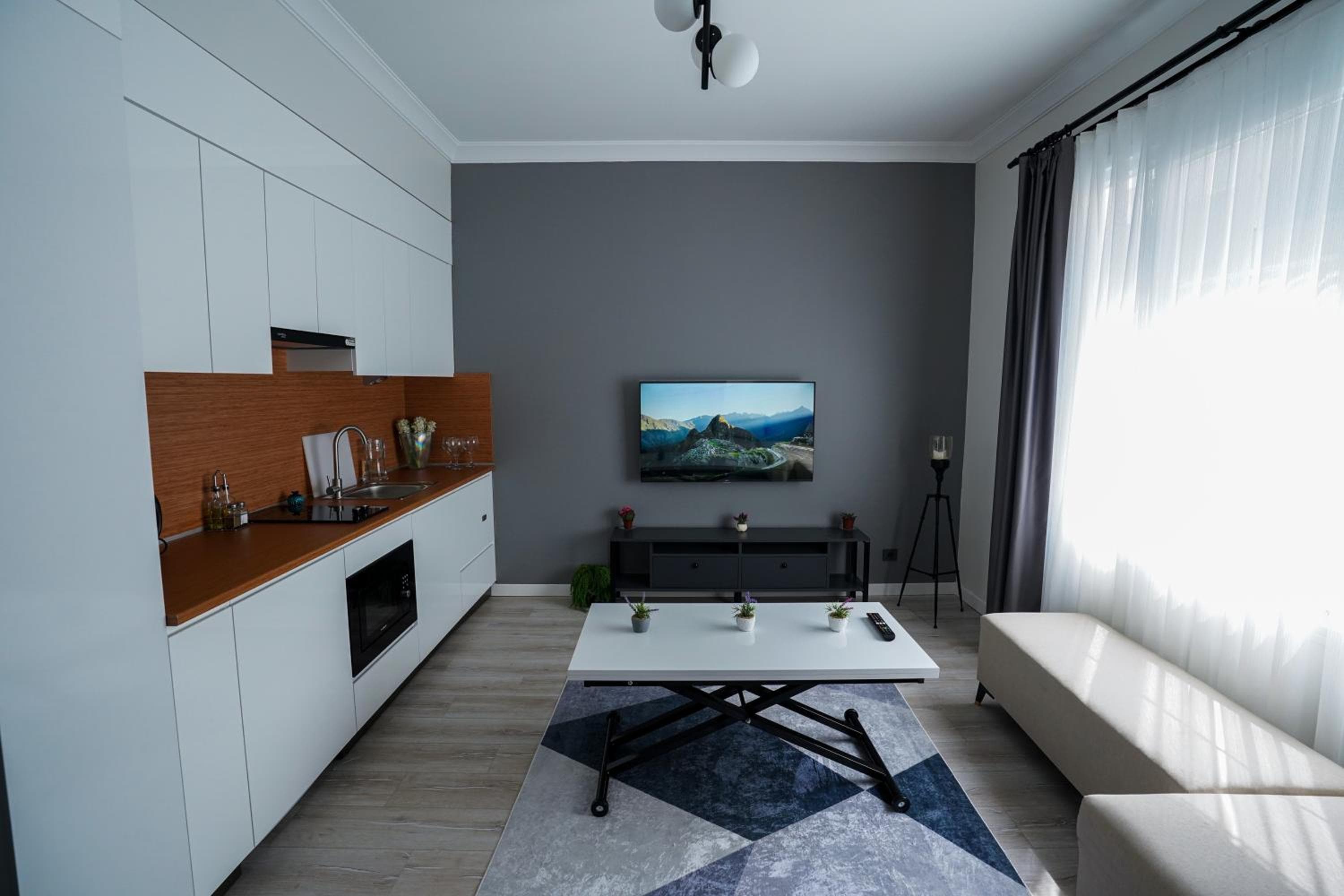 Studio with Sofa Bed